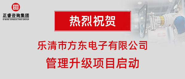 樂清市方東電子有限公司管理升級(jí)項(xiàng)目啟動(dòng)