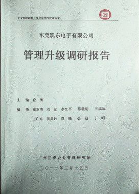 2011年3月15日，正睿咨詢專家向凱東決策層陳述調(diào)研報(bào)告